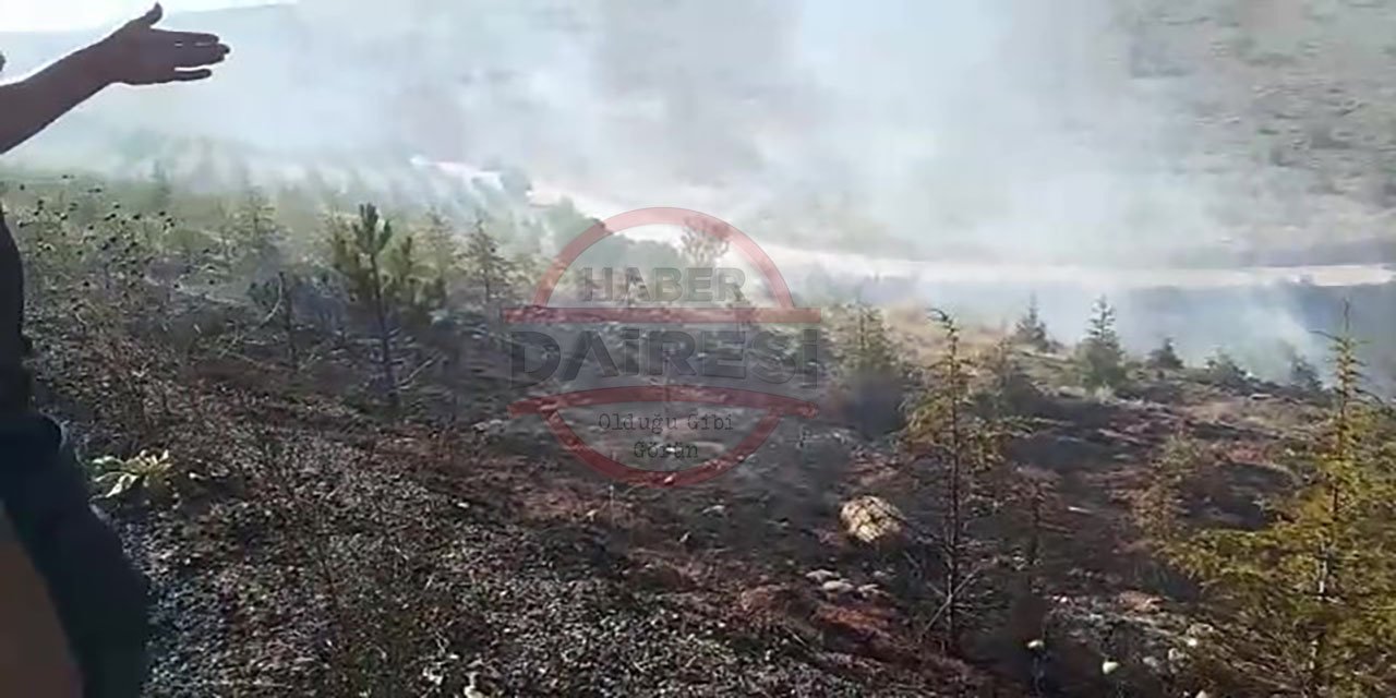 Son Dakika: Konya'da orman yangını alarmı! Kısa sürede kontrol altına alındı