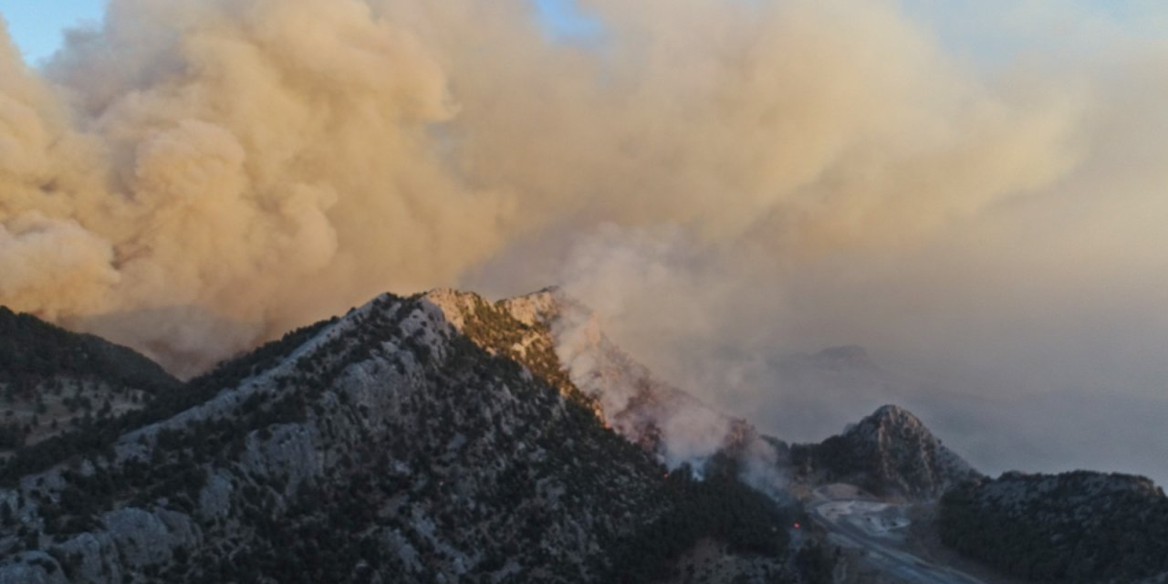 Manavgat yangını Eynif ovasına ulaştı, yılkı atları da tehlikede! Bölgeden son görüntüler