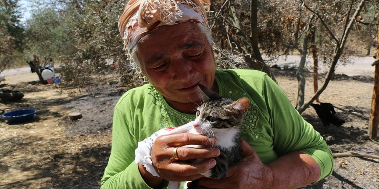 Orman yangınından son anda kurtulan yaşlı çift, tedavi edilen kedilerine kavuştu