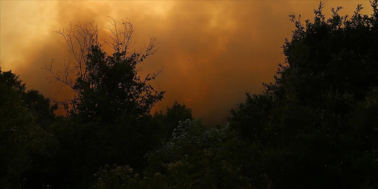 Esed rejimi, saldırılarıyla Türkmen Dağı'nda orman yangını çıkardı