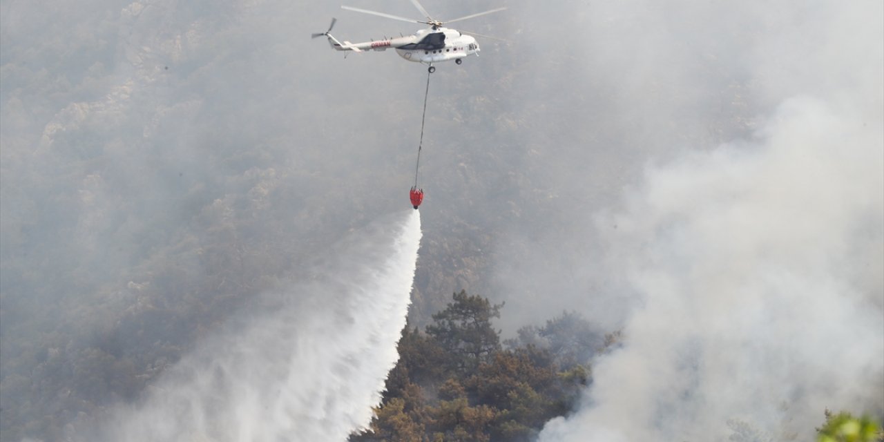 Aydın'daki orman yangınını söndürme çalışmaları sürüyor