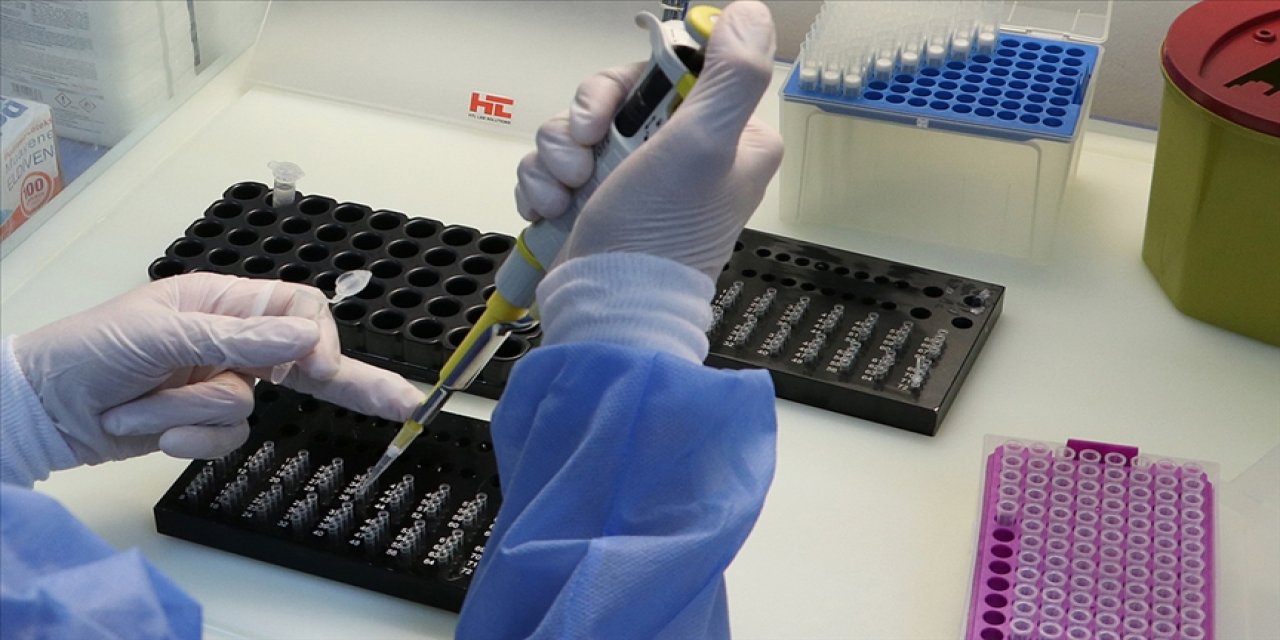 Türkiye'de güncel PCR testleri varyantların tespitinde yeterli mi? Bilim Kurulu üyesi açıkladı