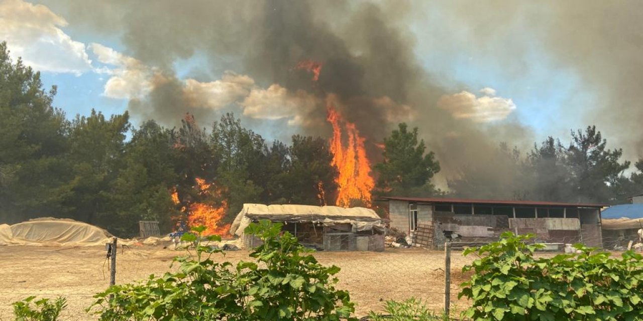 Günlerdir orman yangınlarıyla mücadele eden Manavgat’ta yine yangın çıktı
