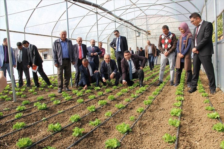 Yalıhüyük'te 'Tarla Günü' etkinliği