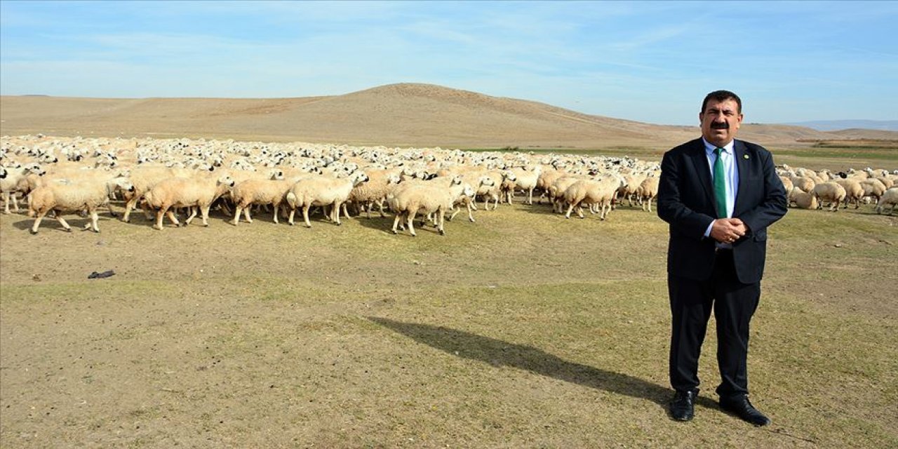 Konya'da açıkladı: 'Salgın sürecinde 17 bin üniversiteli küçükbaş yetiştiriciliğine başladı'