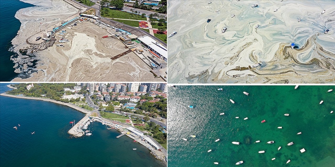 Çevre ve Şehircilik Bakanlığı'nın çalışmalarıyla İstanbul sahilleri müsilajdan arındırıldı