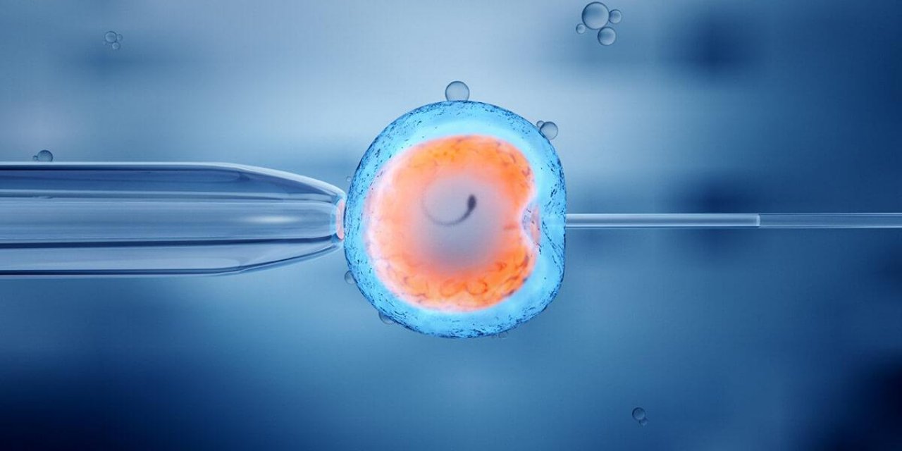 Kıbrıs Tüp Bebek Tedavisinin Başarı Oranları Nedir?