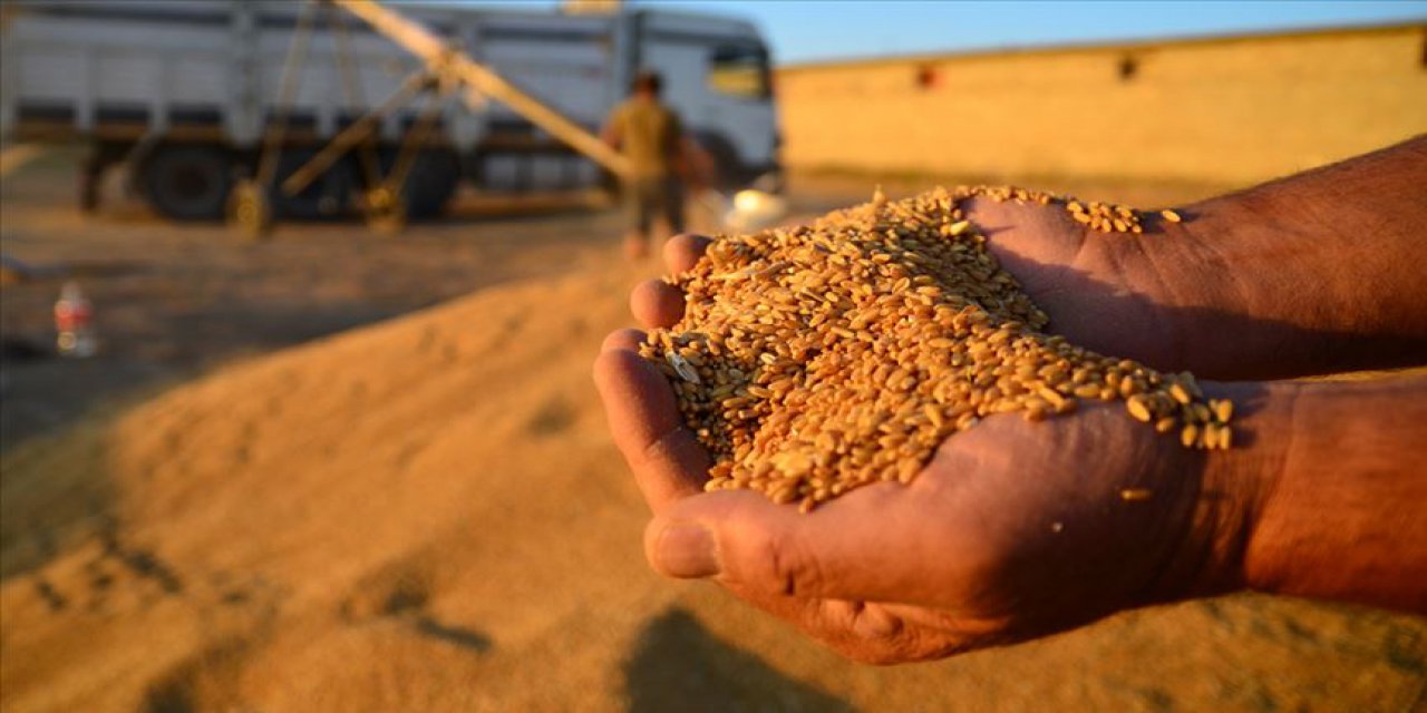 Konya'da buğday bu fiyatlardan alıcı buldu