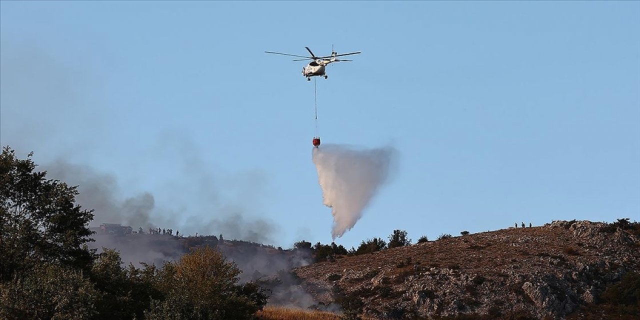 Ankara Çubuk'ta orman yangını çıktı