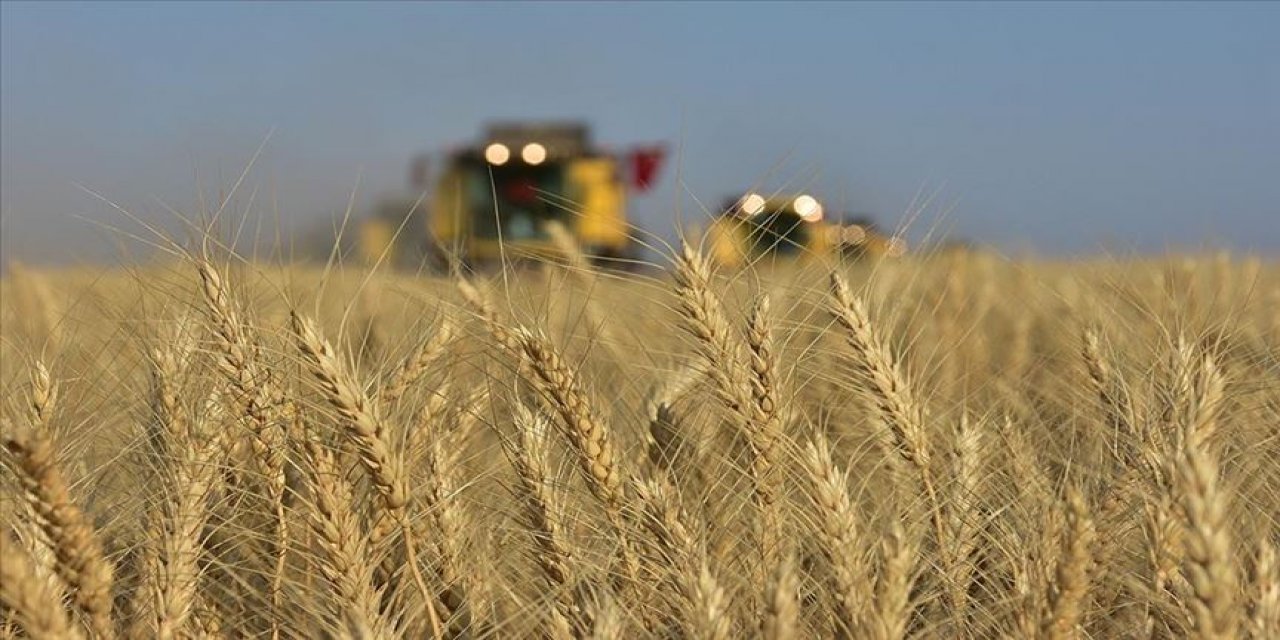Konya'da buğdayın ton fiyatı 2 bin 500 ile 3 bin lira arasında satılıyor
