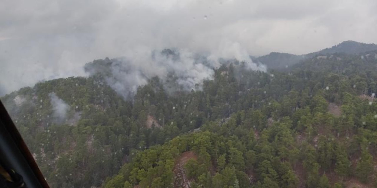 Manavgat'ta yine orman yangını çıktı