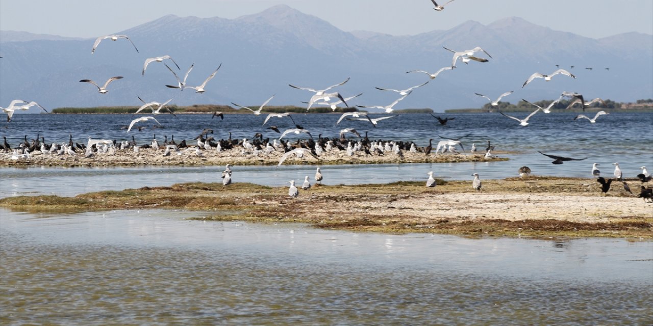 Beyşehir Gölü'nde durum vahim! Ada sayısı kuraklık nedeniyle 2 katına çıktı