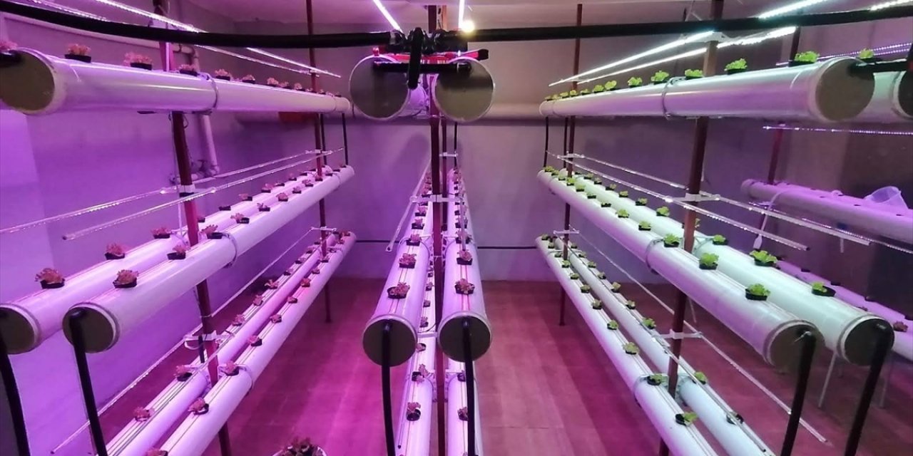 Selçuk Üniversitesi öğrencilerinden "topraksız ve insansız" tarım imkanı sunan proje