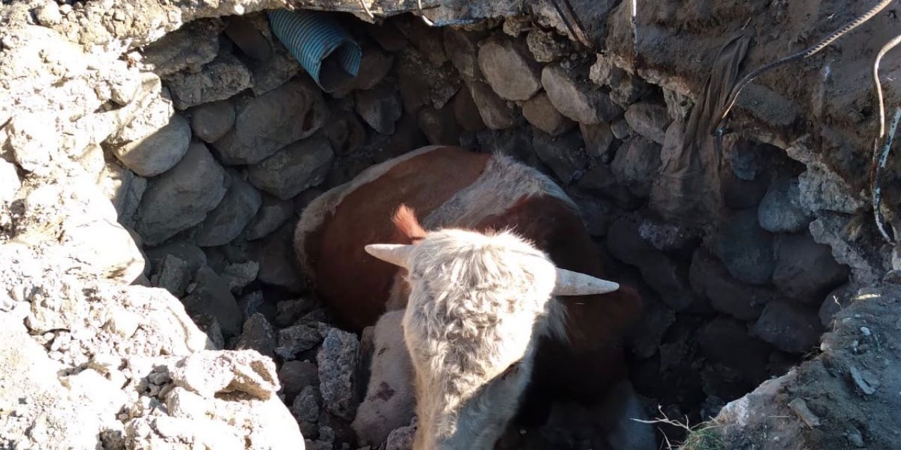 Konya'da 2 metrelik çukura düşen boğayı itfaiye kurtardı
