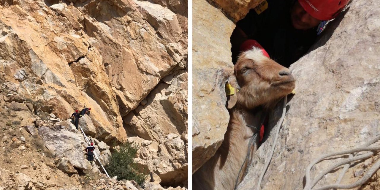 Konya’da firari adaklık keçi dağlık alanda mahsur kaldı