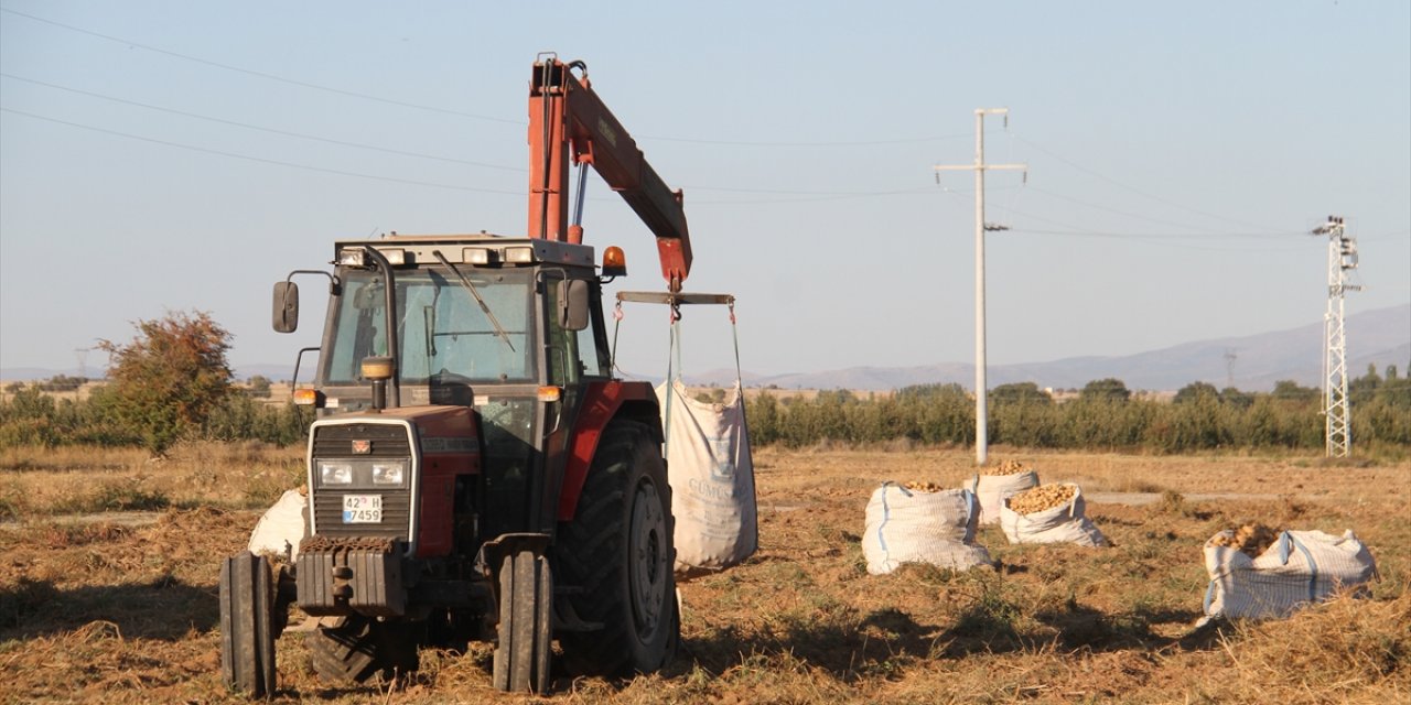 Konya'nın bu ilçesi cipslik patates üretiminde bir merkez haline geldi