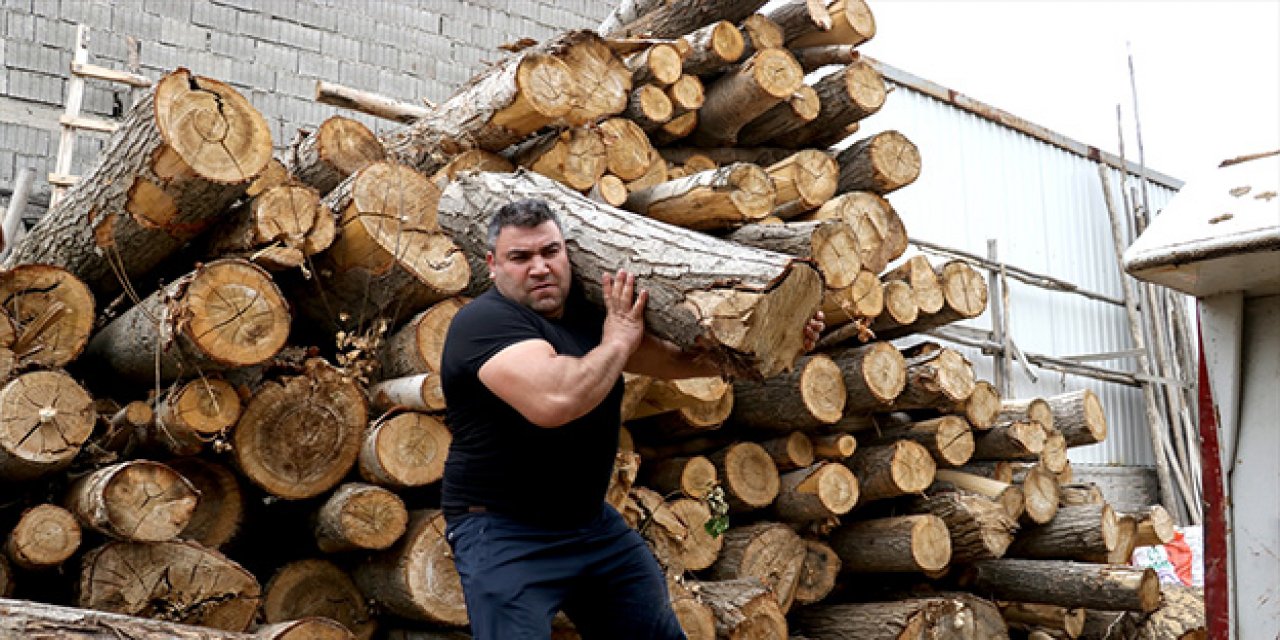 Bilek Güreşi Dünya Şampiyonası'na "tomruk" taşıyarak hazırlanıyor