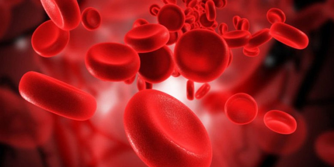 En sağlıklı kan grubu hangisi? Hastalıklarla bağı araştırıldı