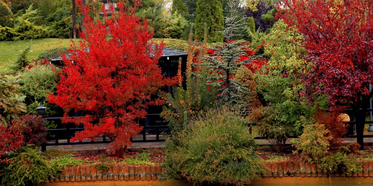 Konya'daki parkta büyüleyen sonbahar renkleri