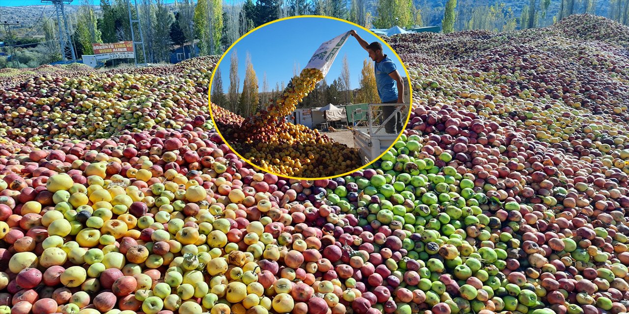 Konya’da kuraklık onları da vurdu! 8 bin ton döküntü çıktı