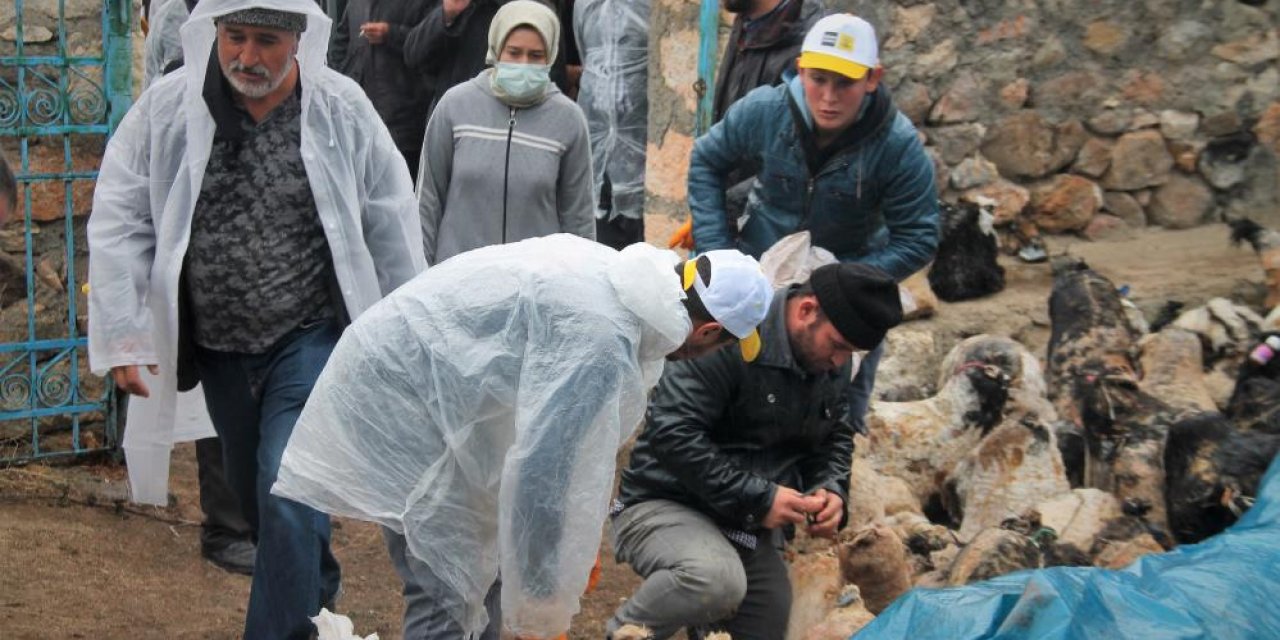 Konya’da 5 ay önce mağaraya konulmuşlardı! Şölenle çıkartıldılar