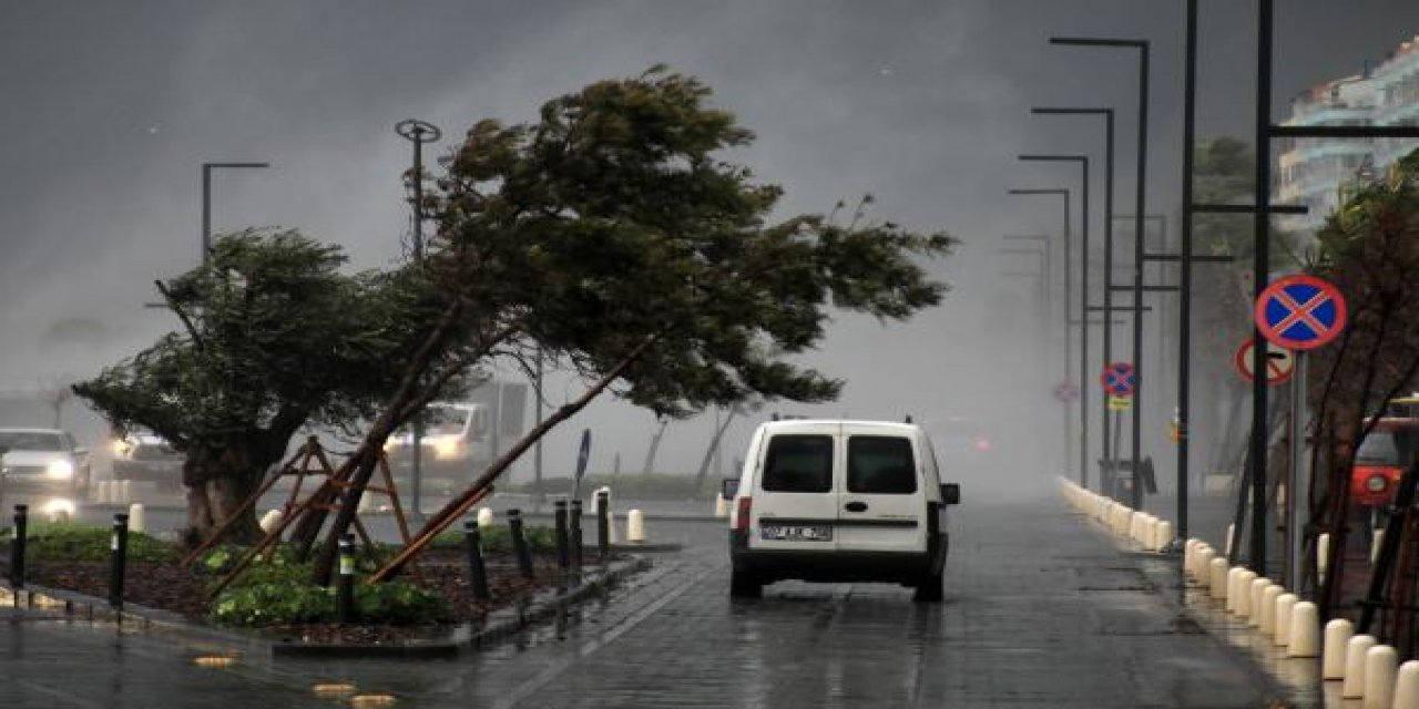 Ağaçlar devrildi, seferber iptal oldu! Turuncu kodla uyarılan şehir fırtınaya teslim oldu
