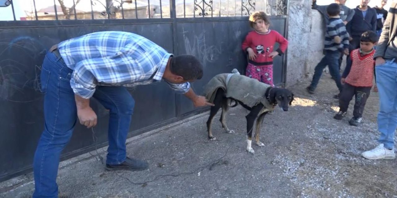 Köpek yumurtaları yedi, tüfek, taş ve sopalar konuştu! Komşu kavgası: 3 yaralı