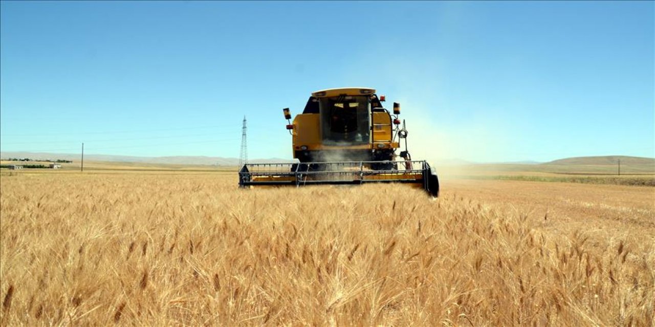 Konya'da buğdayın fiyatı uzun bir aranın ardından ilk kez geriledi