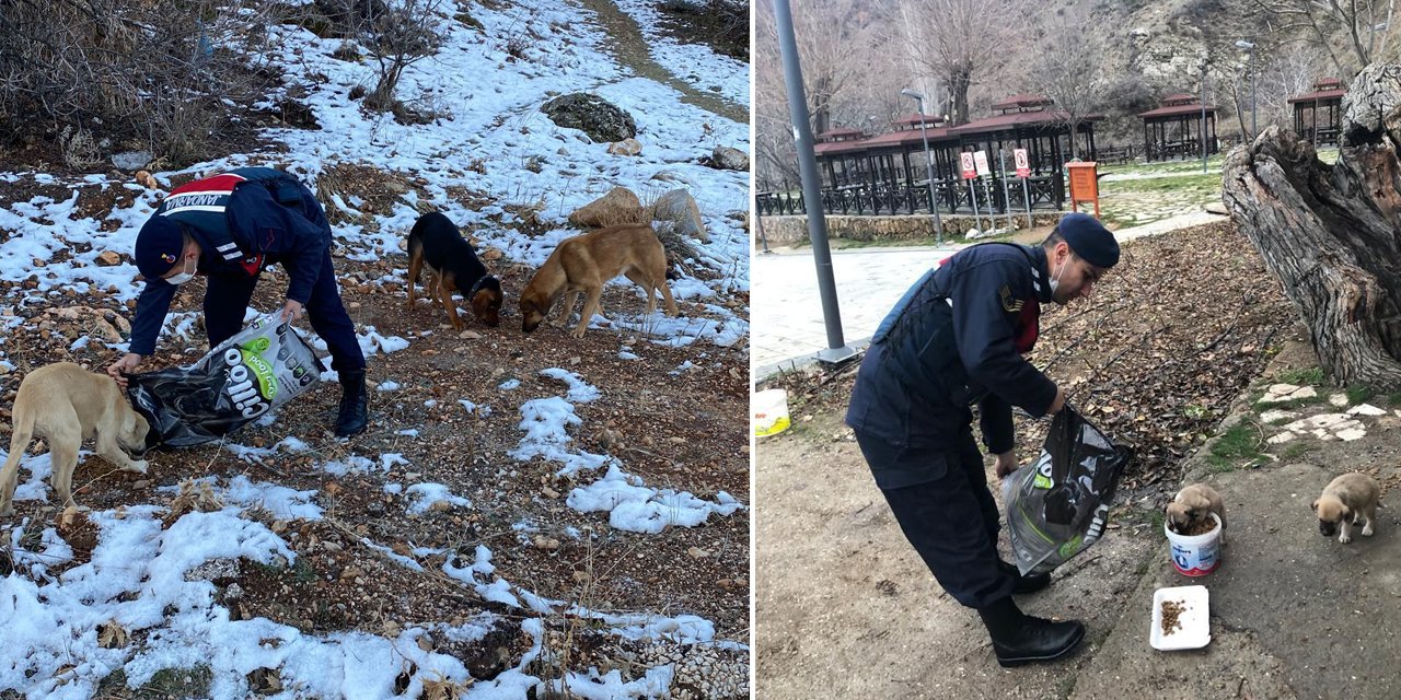Konya’da jandarmadan takdir toplayan davranış