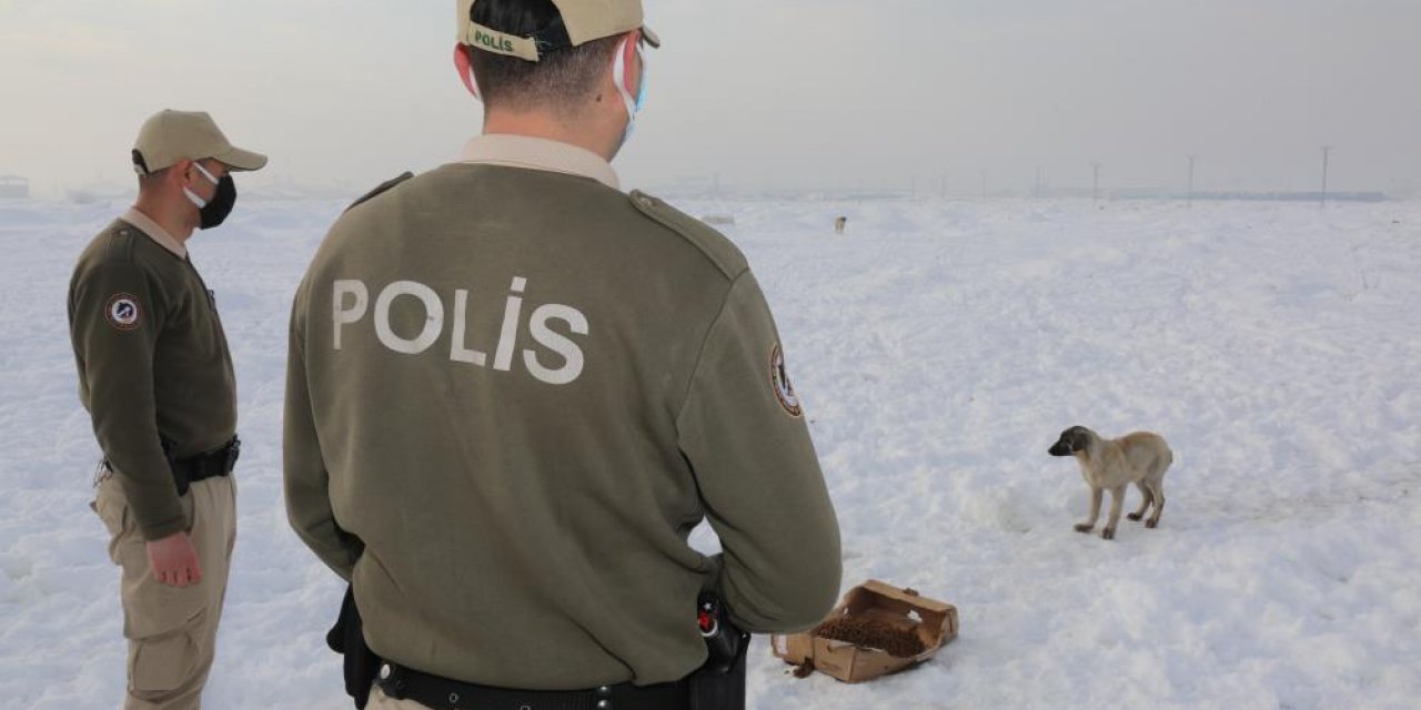 Konya'da hayvanların koruyucu polisleri