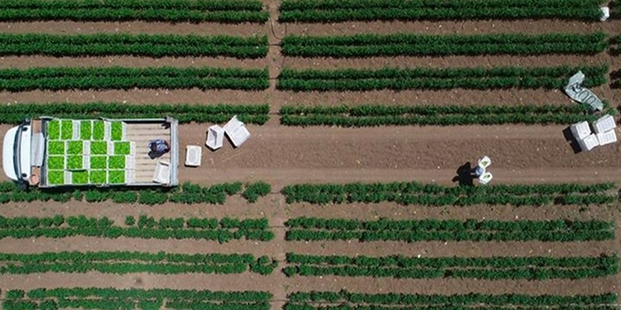 Kurdaki düşüşün ardından çiftçiye iyi haber GÜBRETAŞ'tan geldi
