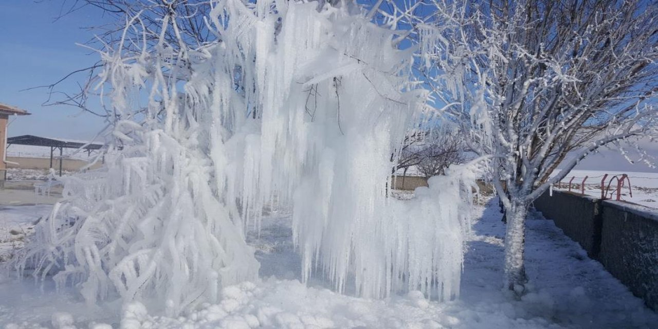 Fotoğraf karesi Konya’dan! Söğüt ağacı bu hale geldi