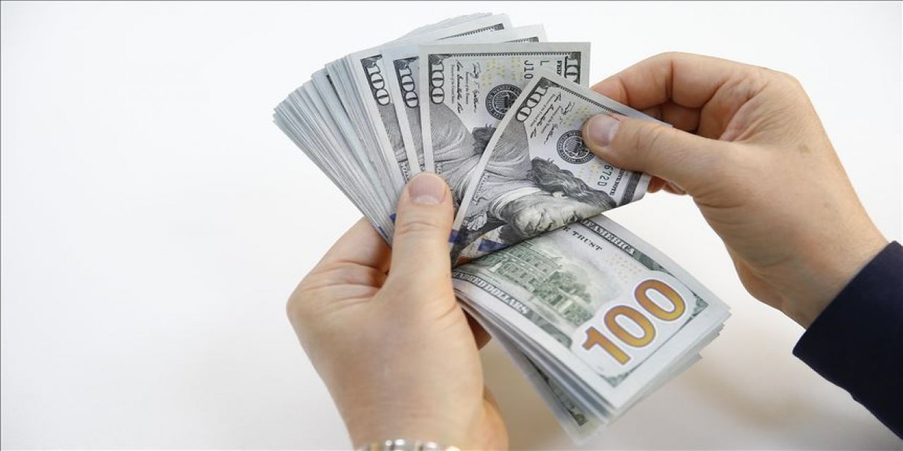 Bakan Nebati'den 'dolar' açıklaması: Her şey kontrol altında