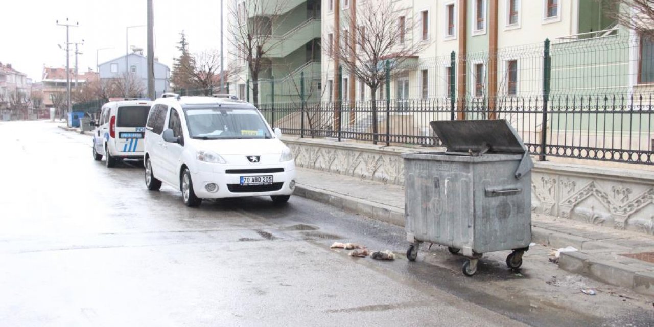 Polis, 'Kedilerin derisini yüzdüler' ihbarıyla alarma geçti, bambaşka bir şeyle karşılaştı