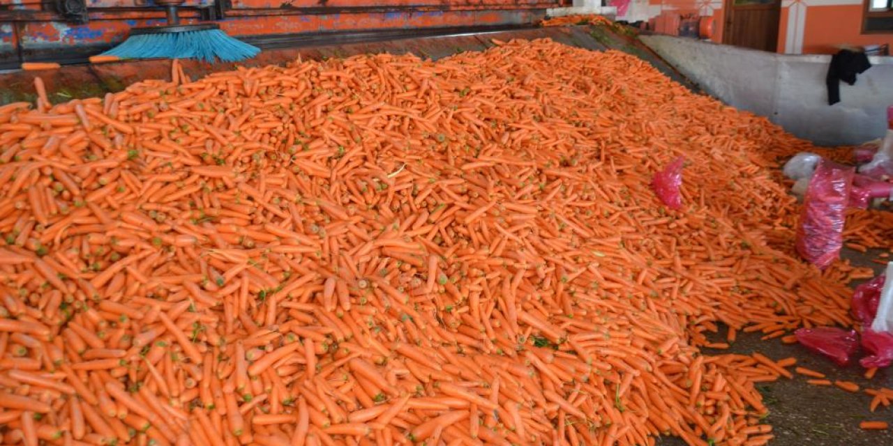 Konya mı? Hatay mı? İki şehrin havuç yarışı