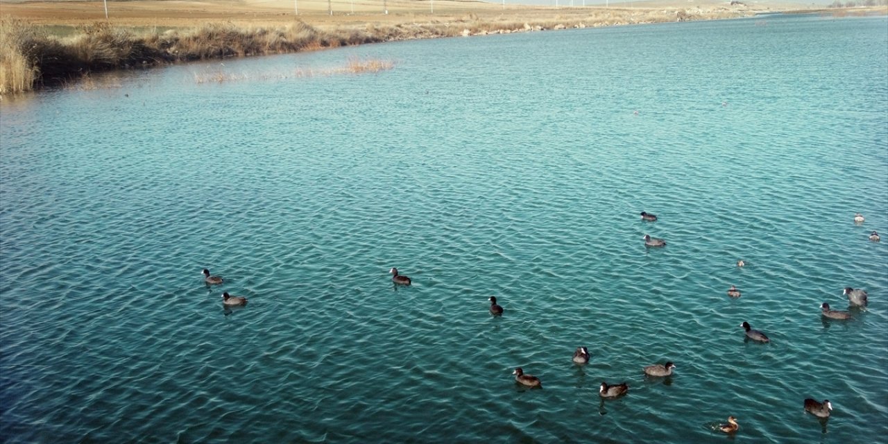 Konya'da kuraklıktan etkilenmeyen gölün yüzey büyüklüğü 6 kat arttı
