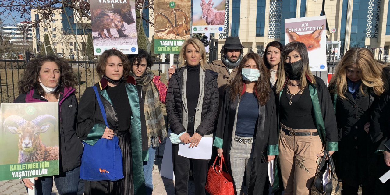 Konya ve bölgesindeki yaban hayvanlarının akıbeti 15 gün içinde belli olacak