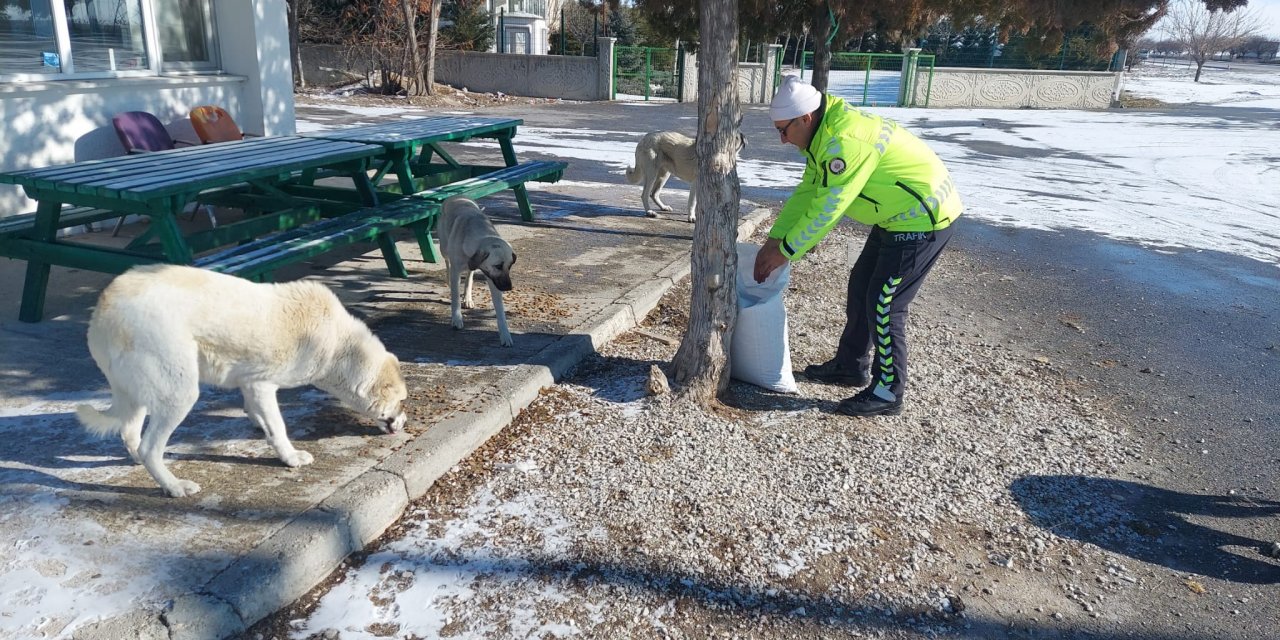 Konya polisinden sokak hayvanlarına şefkat eli uzandı
