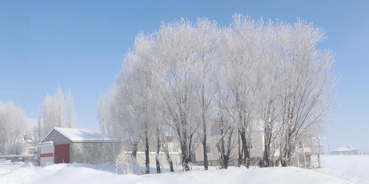 Türkiye'nin en soğuk yeri! Ağaçlar buz tuttu, saçaklarda sarkıtlar oluştu