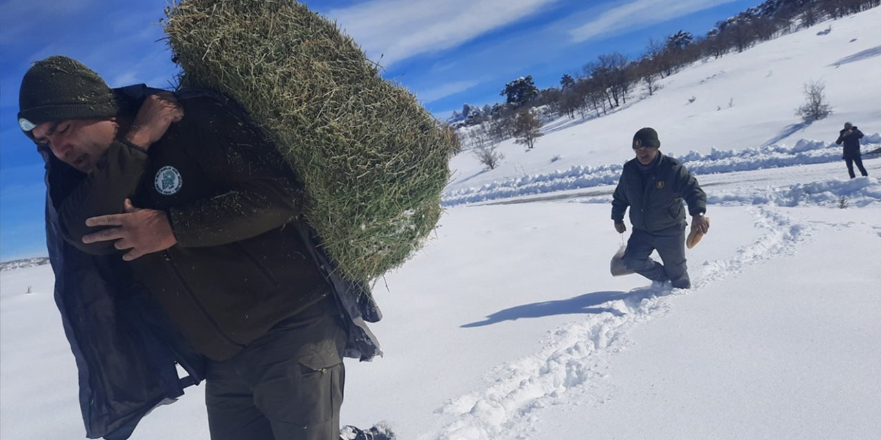 Konya'nın kar altındaki coğrafyasında yaban hayvanları unutulmadı