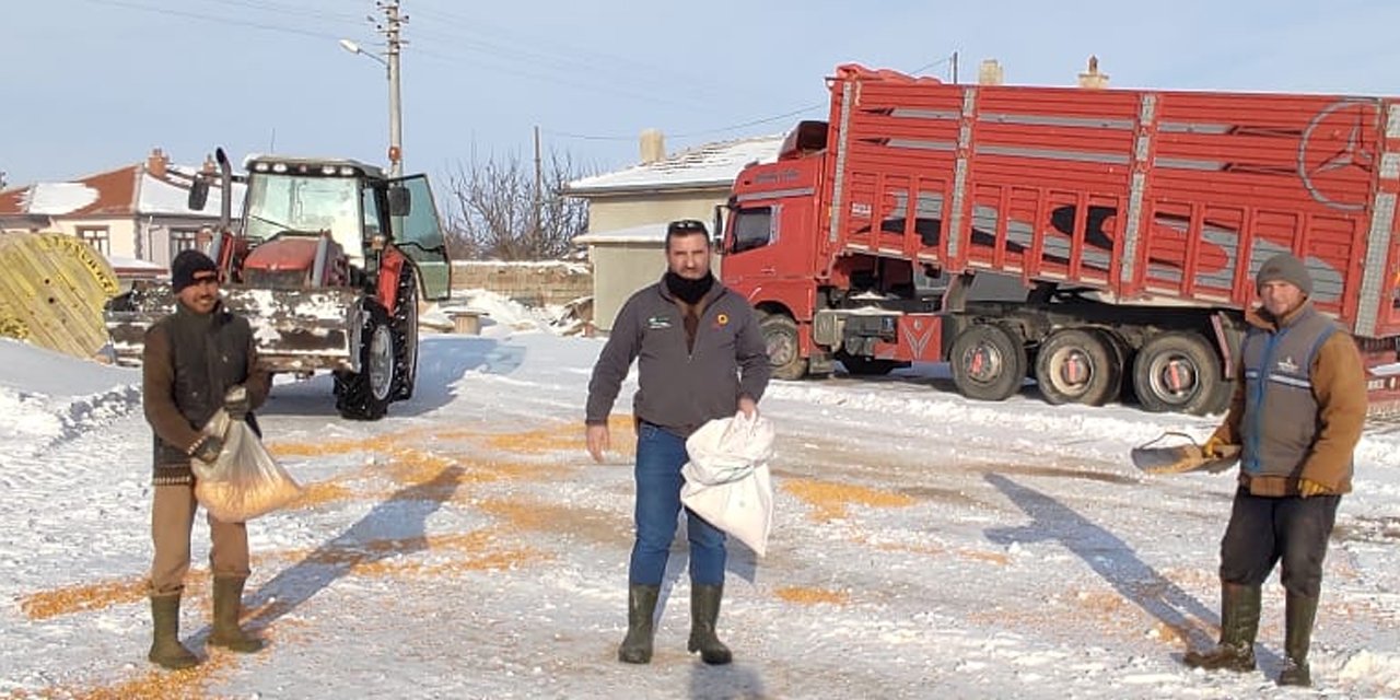Konyalı Muhtar Nuri Köroğlu yiyecek bulamayan kuşlar için seferber oldu