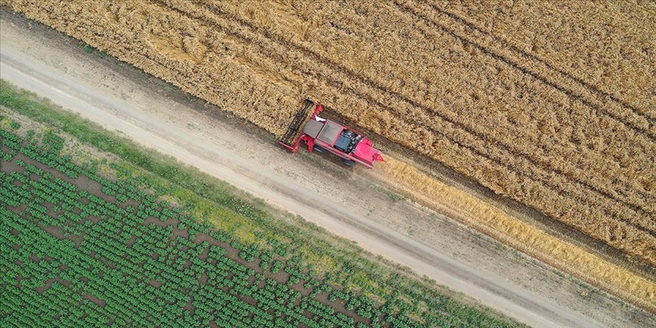 Çiftçiye dekar başına 50 lira ek destek