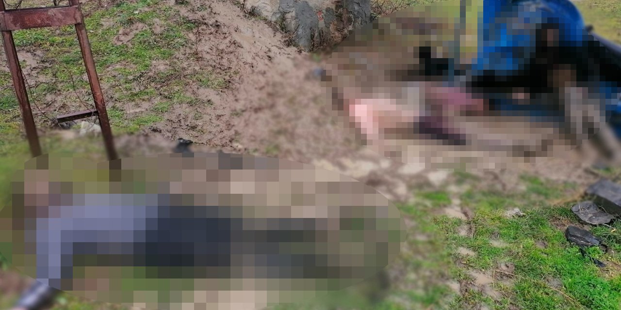 Yunanistan'ın ölüme ittiği 12 göçmen donarak hayatını kaybetti