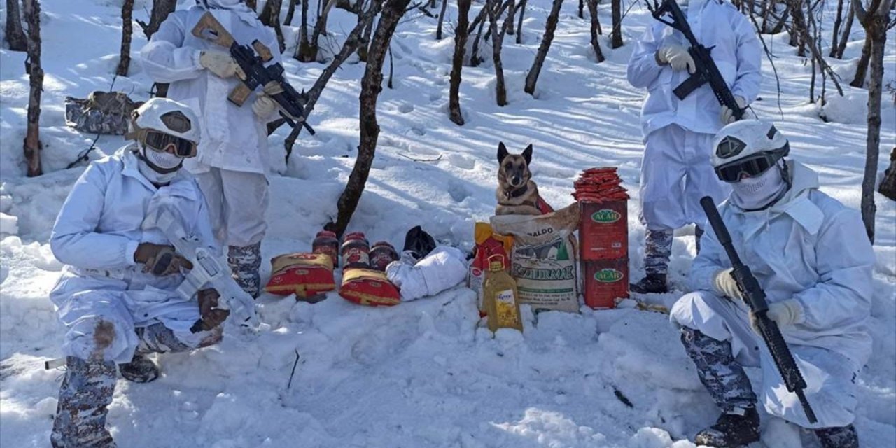 Diyarbakır'da Eren Kış-21 Operasyonu başlatıldı