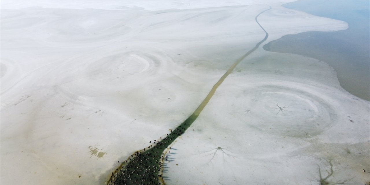 Fotoğraflar Konya'dan! Hareketleriyle buz tutmasını önlemeye çalışıyorlar