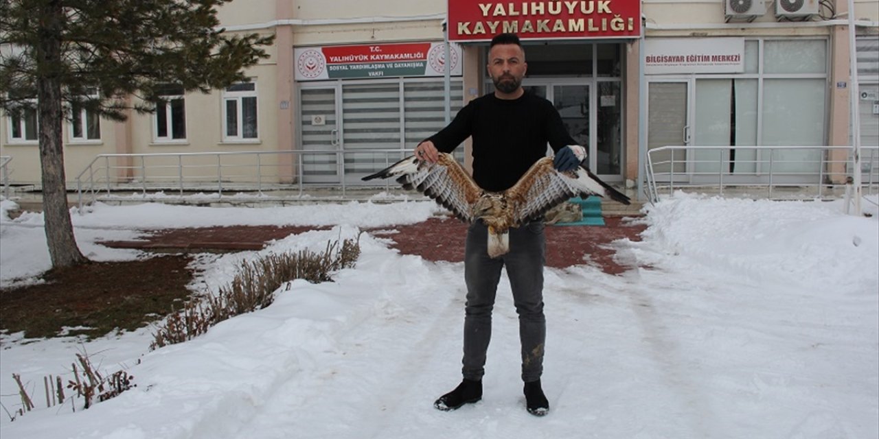 Yalıhüyük'te bulunan yaralı şahin tedavi edildi