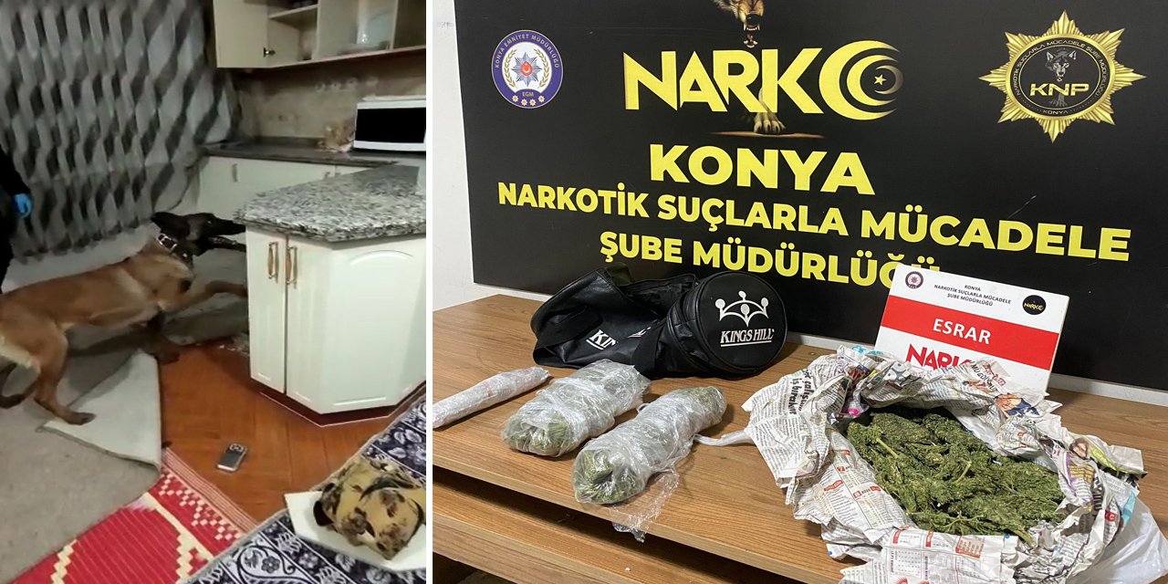 Konya’da uyuşturucu baskını! Narkotik köpeği böyle buldu