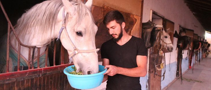 Konya'da şampiyon atlara 'ballı muzlu' menü