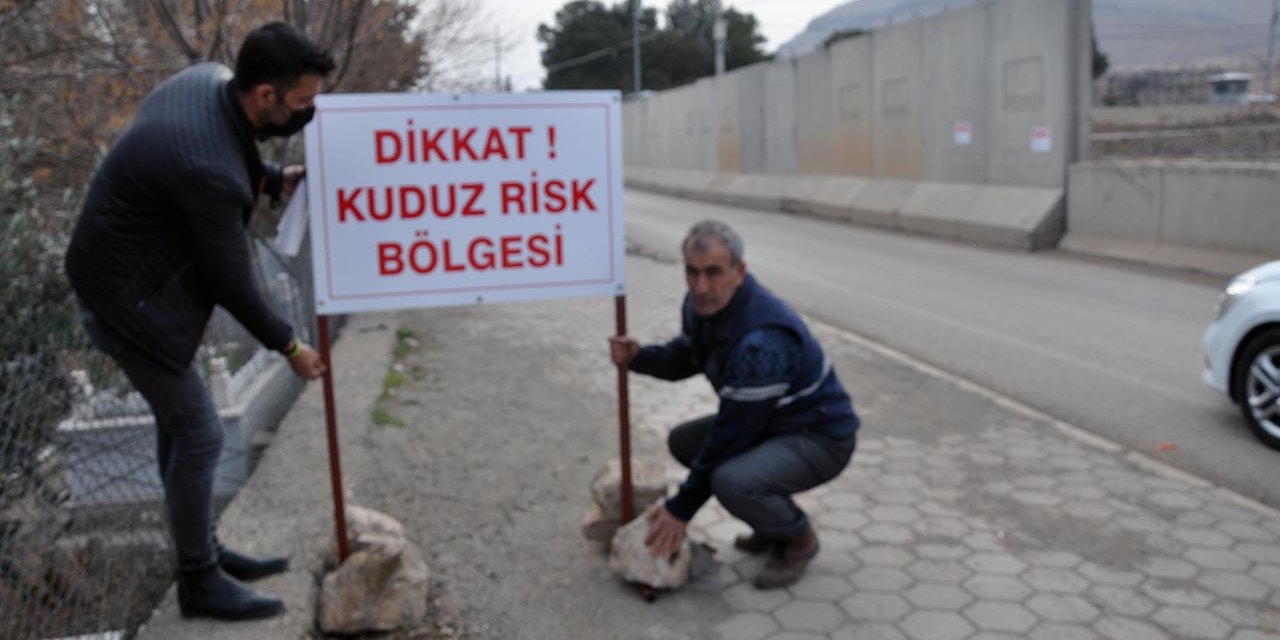 7 kişiyi ısıran köpek kuduz çıktı, mahalle karantinaya alındı