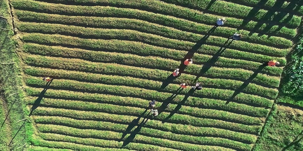 Kırsal Kalkınmada Uzman Eller Projesi kapsamında 200 milyon liralık hibe